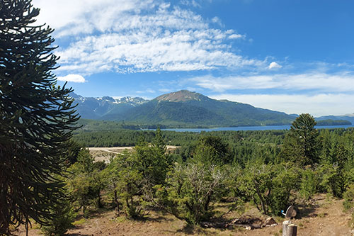Cabaña Ñire Moquehue